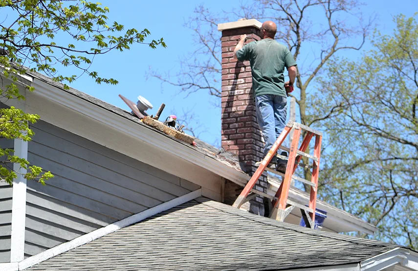 Chimney & Fireplace Inspections Services in Eagle Pass, TX